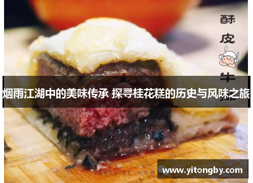 烟雨江湖中的美味传承 探寻桂花糕的历史与风味之旅 烟雨江湖中的美味传承 探寻桂花糕的历史与风味之旅